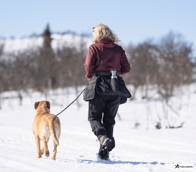 Pinewood Dog Sports Utility Blte