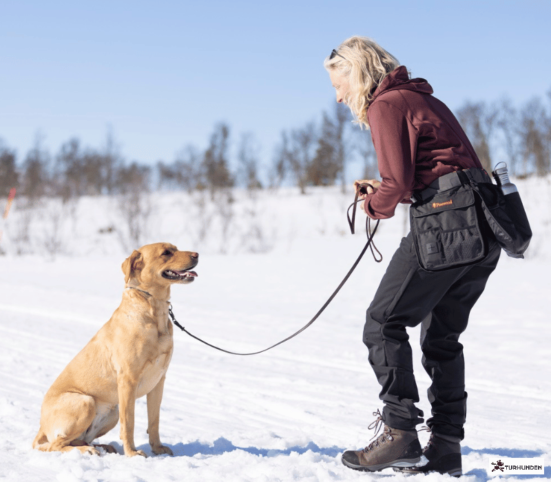 Pinewood Dog Sports Utility Blte