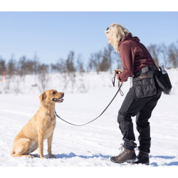 Pinewood Dog Sports Utility Blte