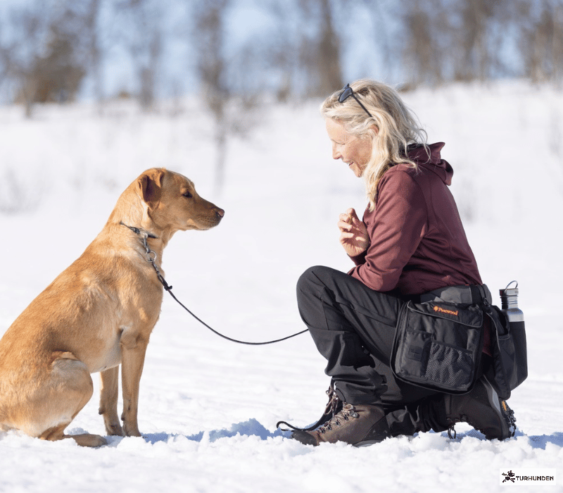 Pinewood Dog Sports Utility Blte