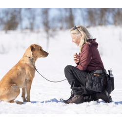 Pinewood Dog Sports Utility Blte