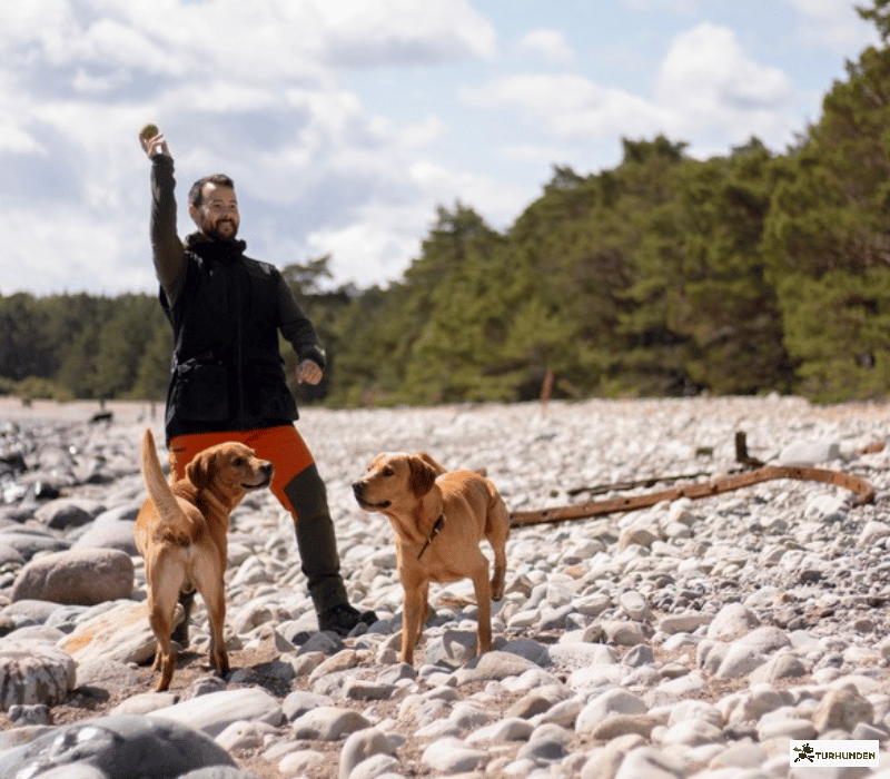 Pinewood Dog Sports trainer Vest - Herre