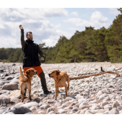 Pinewood Dog Sports trainer Vest - Herre