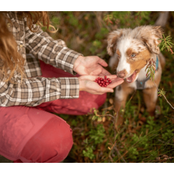 Pinewood Finnveden Hybrid, D.Red/D.Tomato - Dame