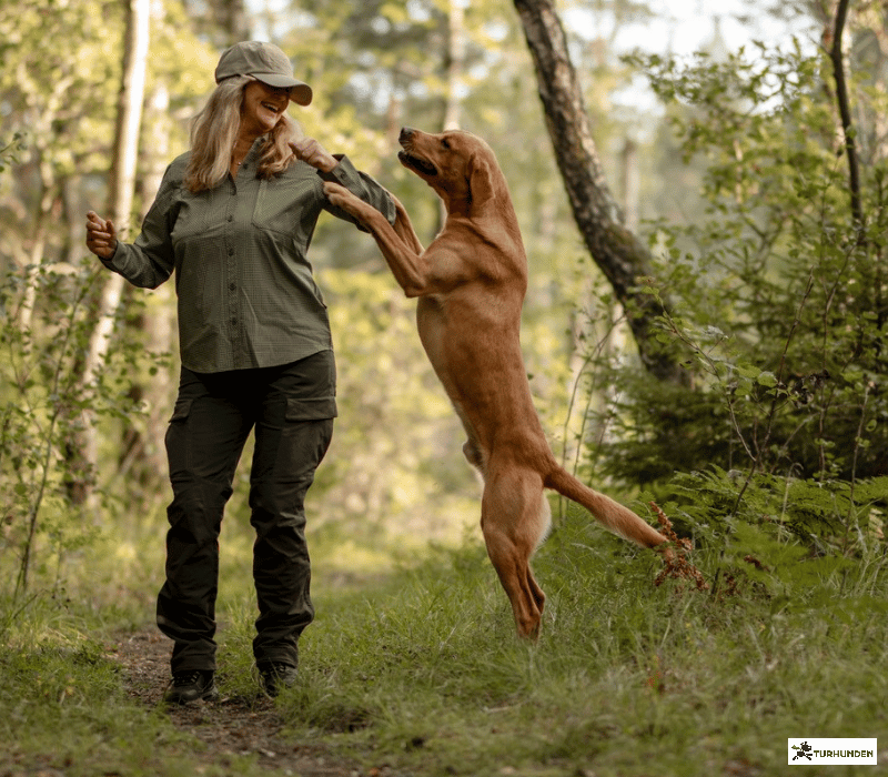 Pinewood Naturesafe kasket 