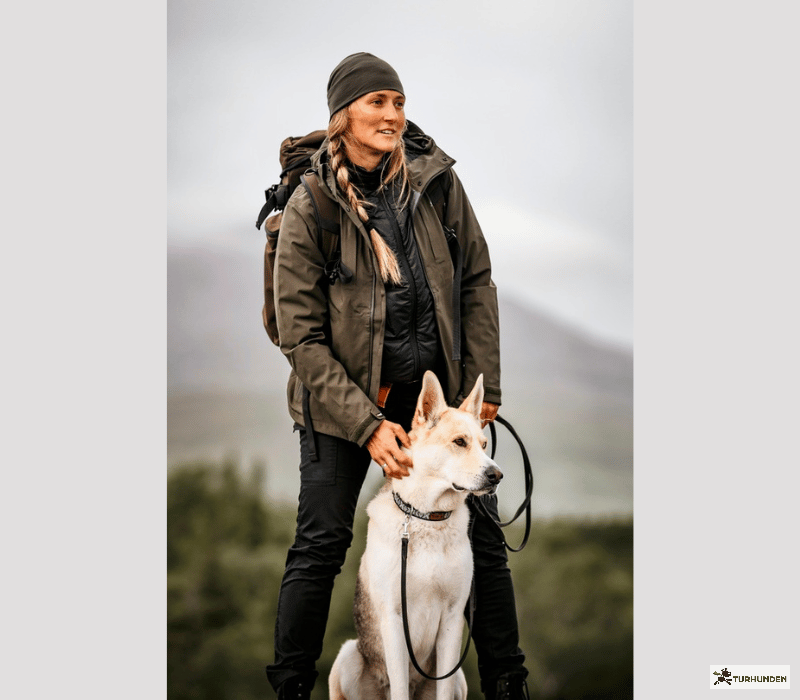 Pinewood Merino Wool Beanie