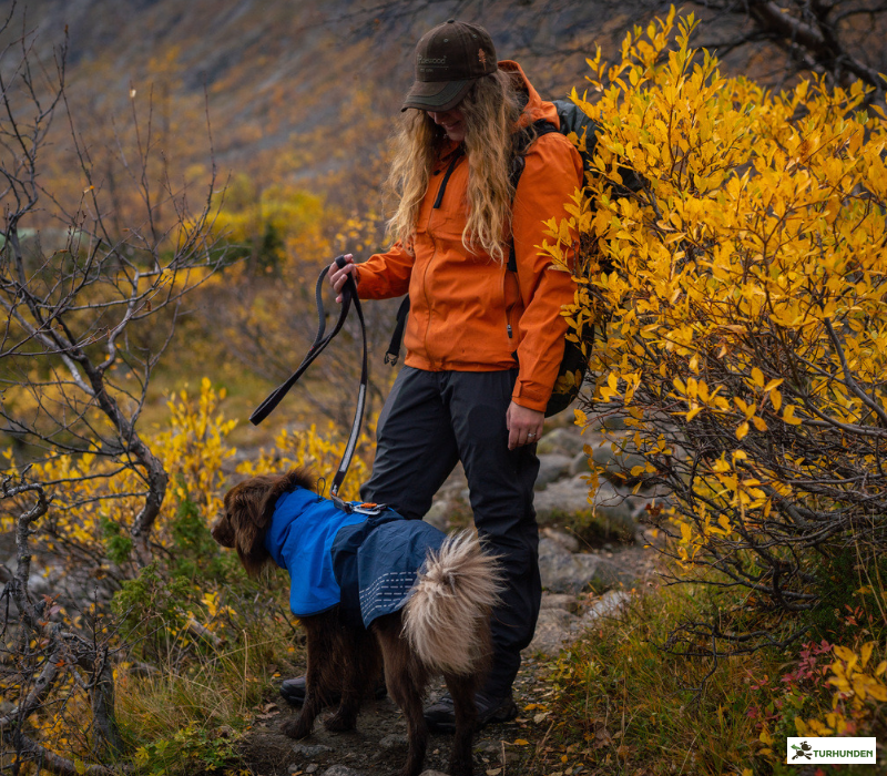 Pinewood Telluz Dame jakke