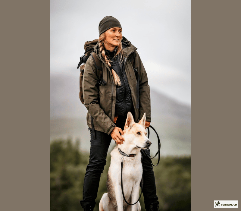 Pinewood Wool Insulated Midlayer Jacket / Dame