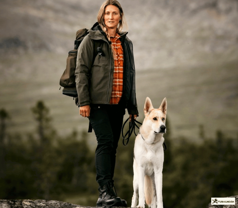 Pinewood Wool Insulated Midlayer Jacket / Dame