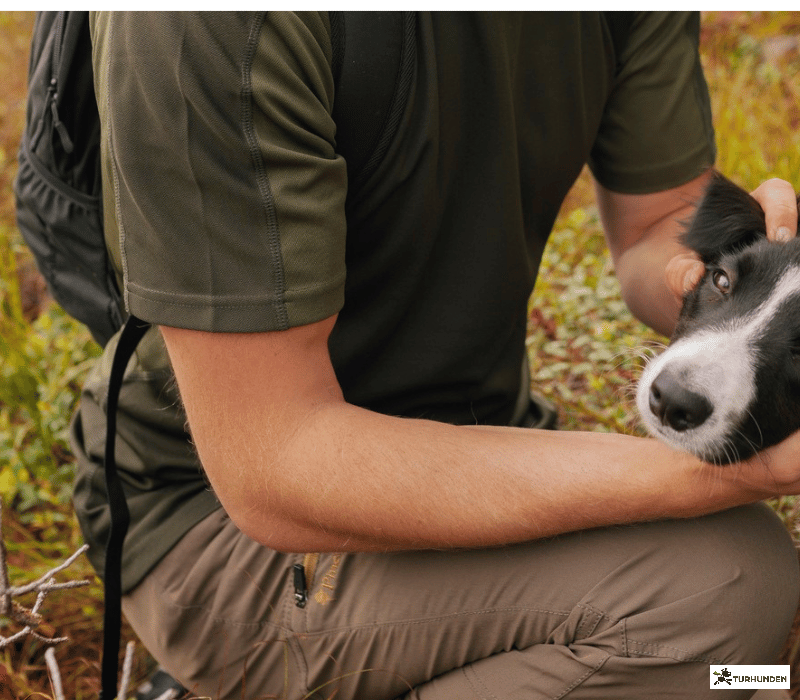 Pinewood Daypack 22 L