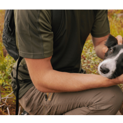 Pinewood Daypack 22 L