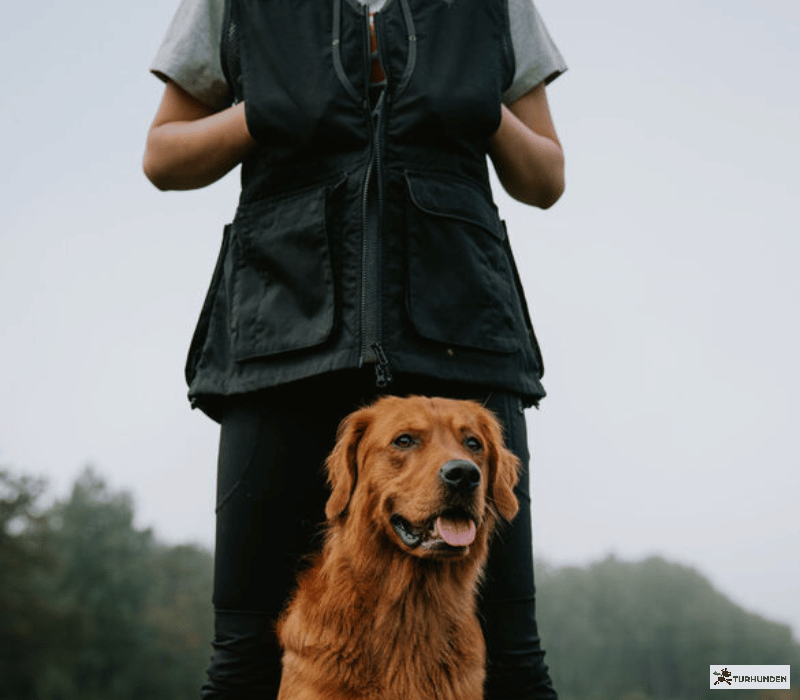 Pinewood Dog Sports 2,0 Dame Vest
