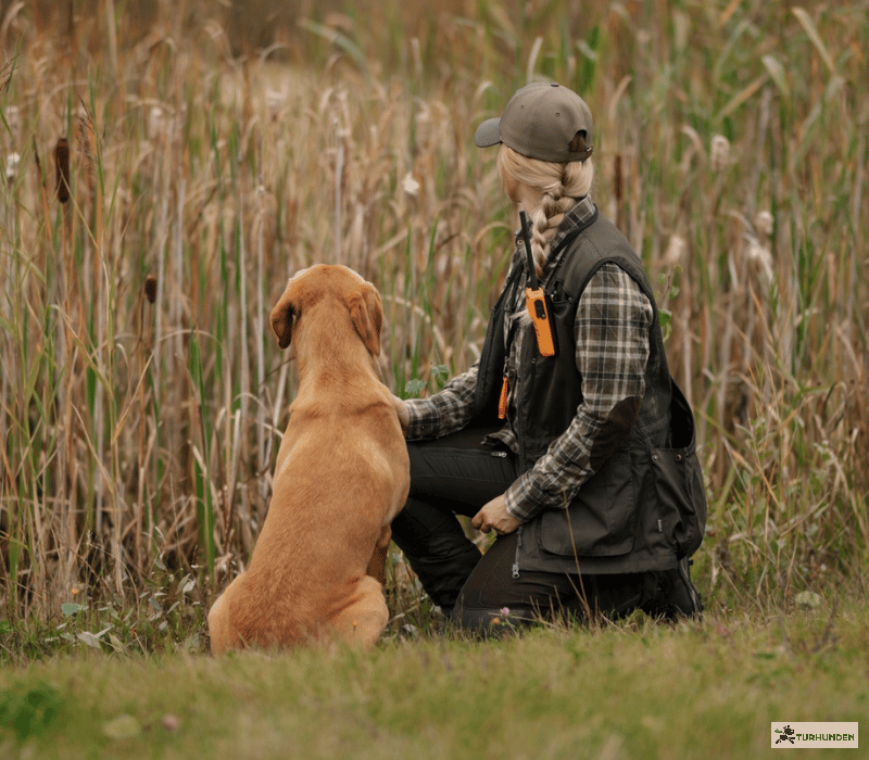 Pinewood Dog Sports 2,0 Dame Vest