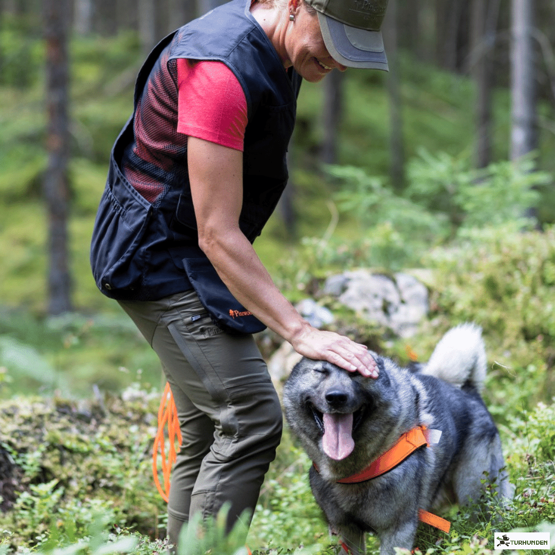 Pinewood Finnveden Hybrid Extreme - Dame 50%