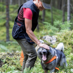 Pinewood Finnveden Hybrid Extreme - Dame 50%