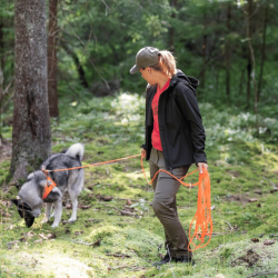 Pinewood Finnveden Hybrid Extreme - Dame 50%