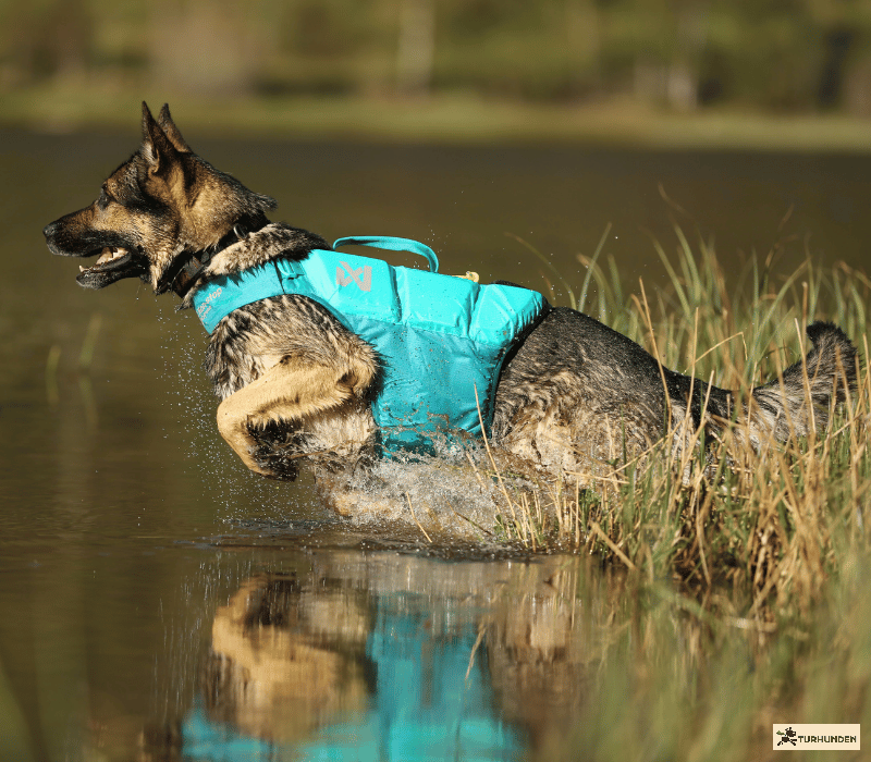Non-stop dogwear Protector Life Jacket
