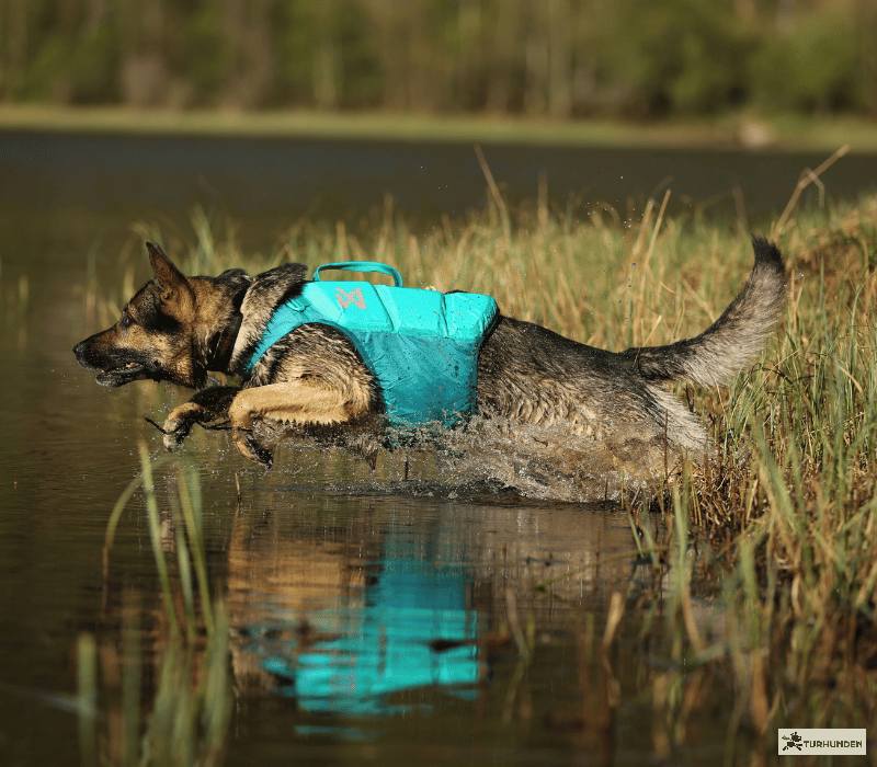Non-stop dogwear Protector Life Jacket