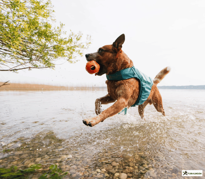 Non-stop dogwear Protector Life Jacket