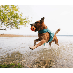 Non-stop dogwear Protector Life Jacket