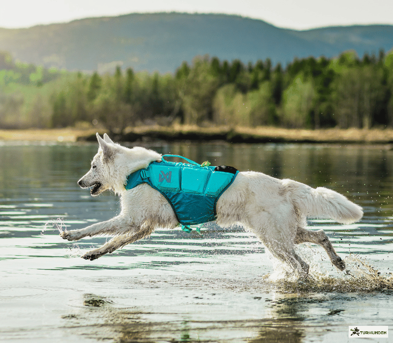 Non-stop dogwear Protector Life Jacket