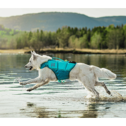 Non-stop dogwear Protector Life Jacket