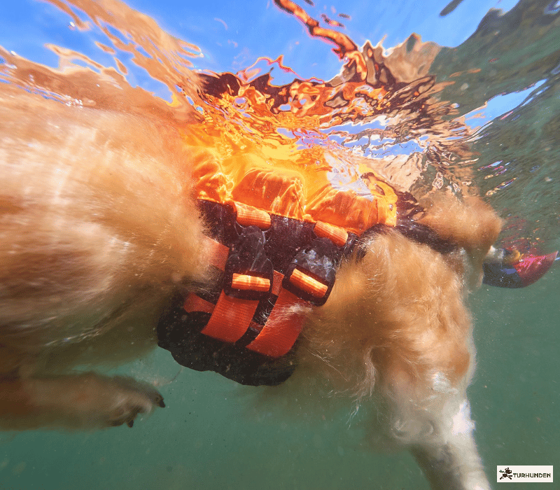 Non-stop dogwear Protector Life Jacket