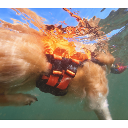 Non-stop dogwear Protector Life Jacket
