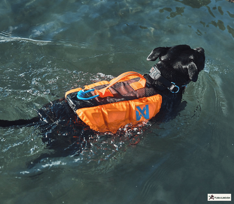 Non-stop dogwear Protector Life Jacket