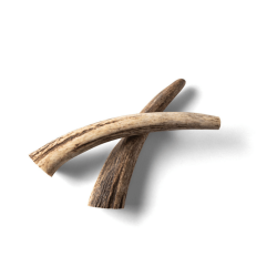 Rauh Nutriment Antler - Small