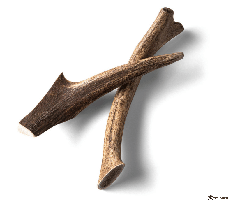 Rauh Nutriment Antler - Medium