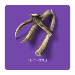 Rauh Nutriment Antler - Large