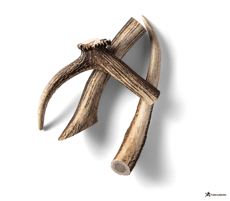 Rauh Nutriment Antler - Large