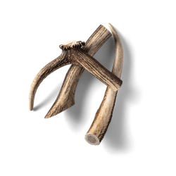 Rauh Nutriment Antler - Large