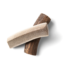 Rauh Nutriment Split Antler - Small