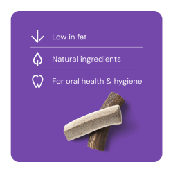 Rauh Nutriment Split Antler - Medium