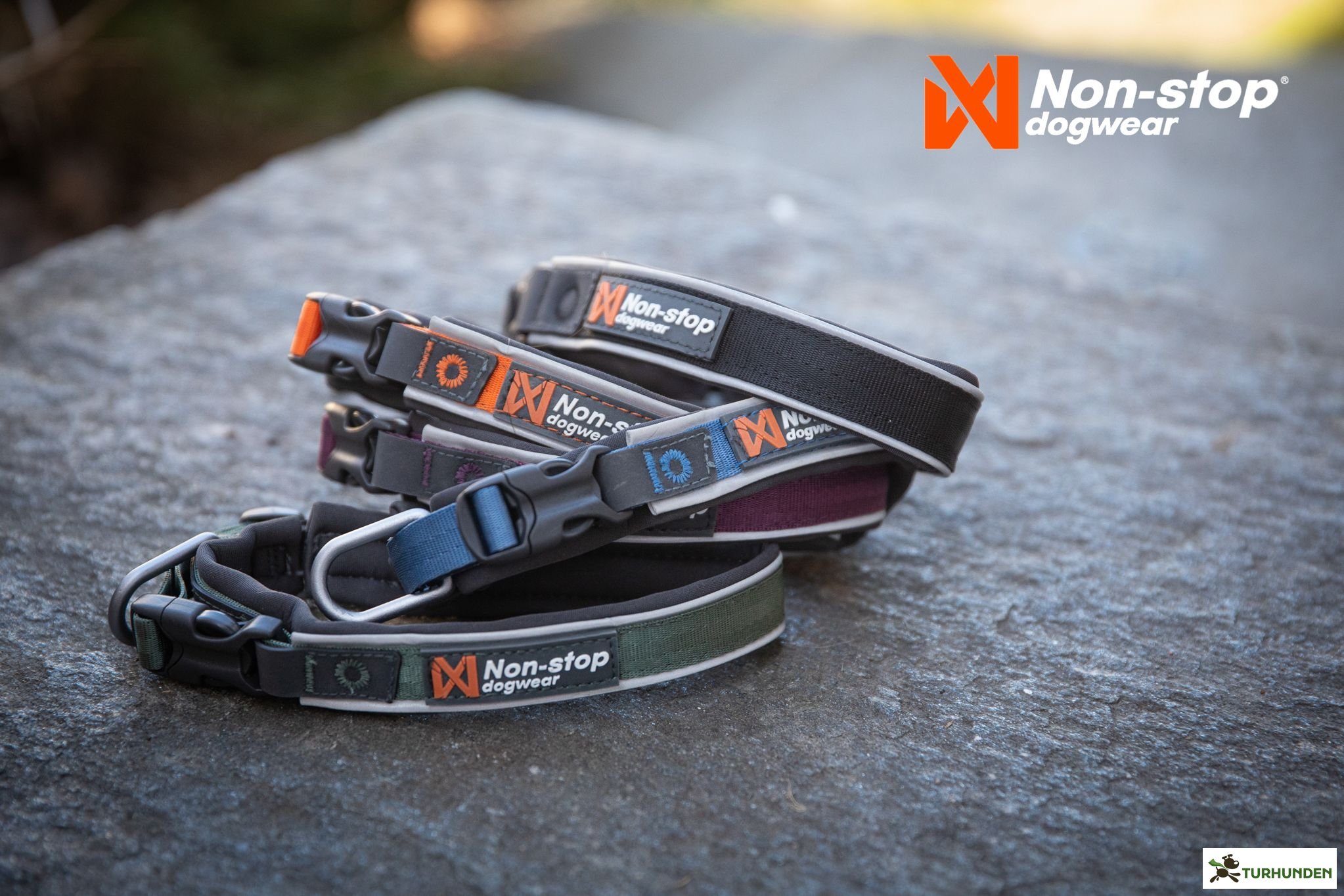 Non-stop dogwear Roam Collar