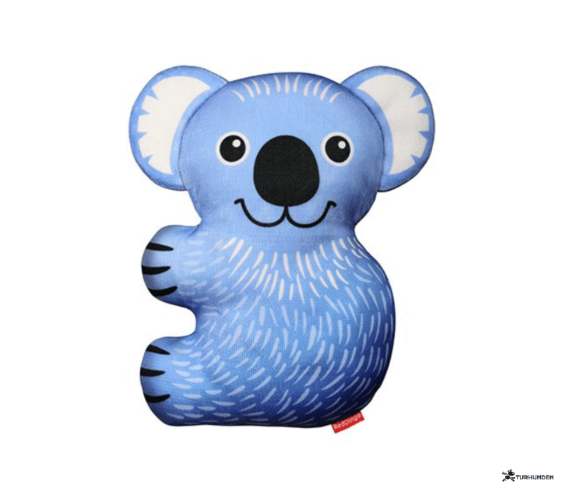 Red Dingo Koala