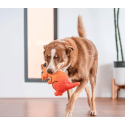 Red Dingo Durables K�nguru