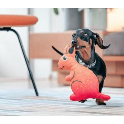 Red Dingo Durables K�nguru