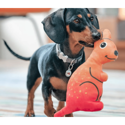 Red Dingo Durables K�nguru