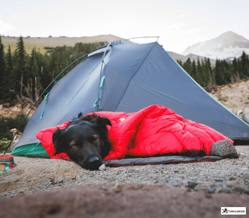 Ruffwear  Palisades Sleep Poncho