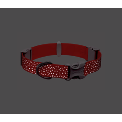 Ruffwear Confluence Collar