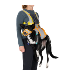 Ruffwear BackTrak Evac Kit