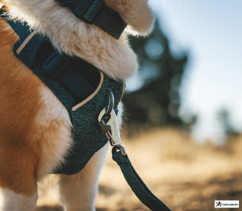 Ruffwear Front Range Flex Knit Harness 