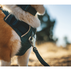 Ruffwear Front Range Flex Knit Harness 