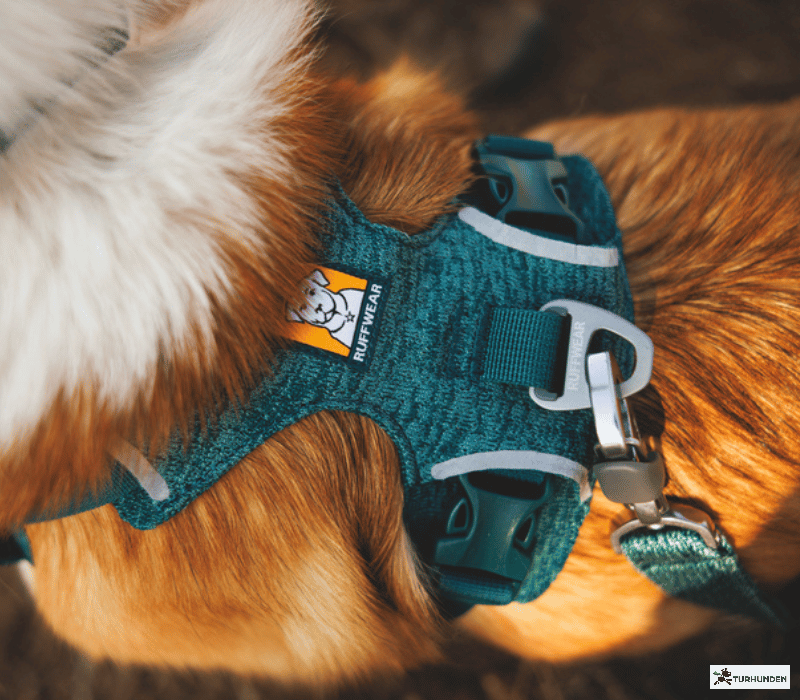 Ruffwear Front Range Flex Knit Harness 