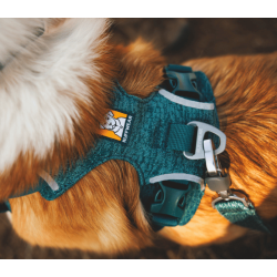 Ruffwear Front Range Flex Knit Harness 