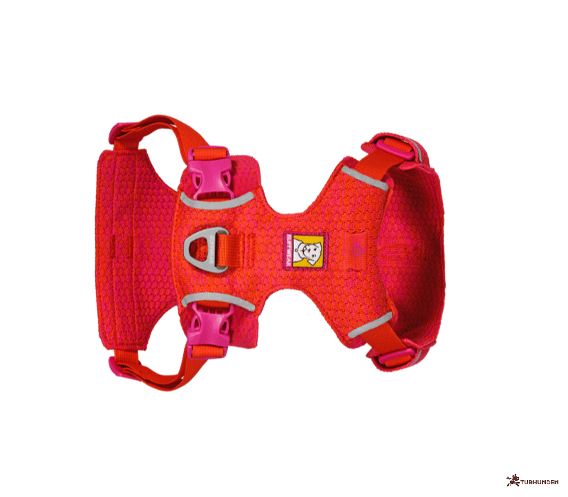 Ruffwear Front Range Flex Knit Harness 
