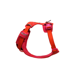 Ruffwear Front Range Flex Knit Harness 